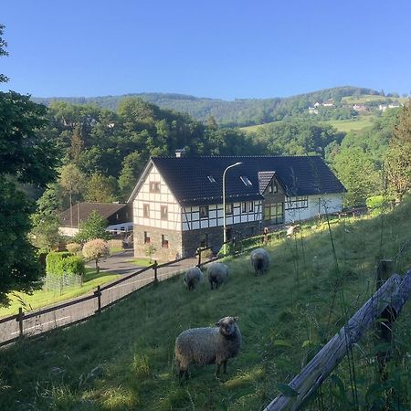 Berg Blick Eifler Bauernhaus Modern Restauriert Зіммерат Екстер'єр фото